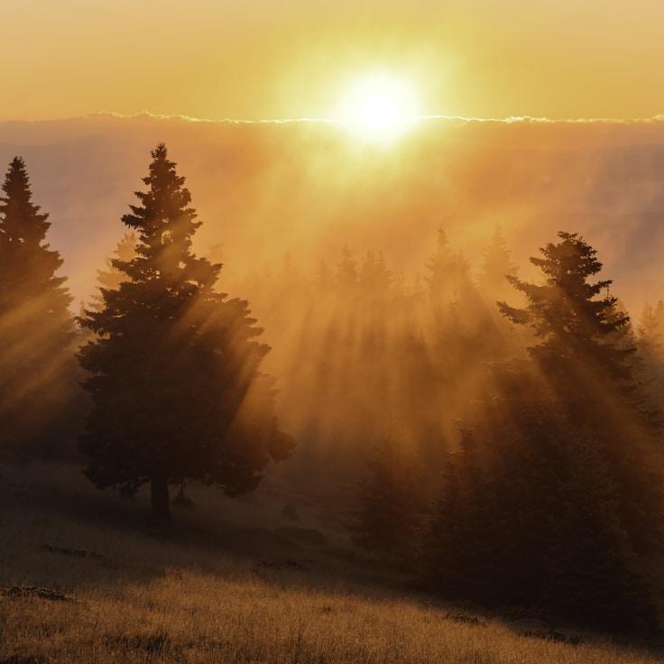 Nature travel hero image